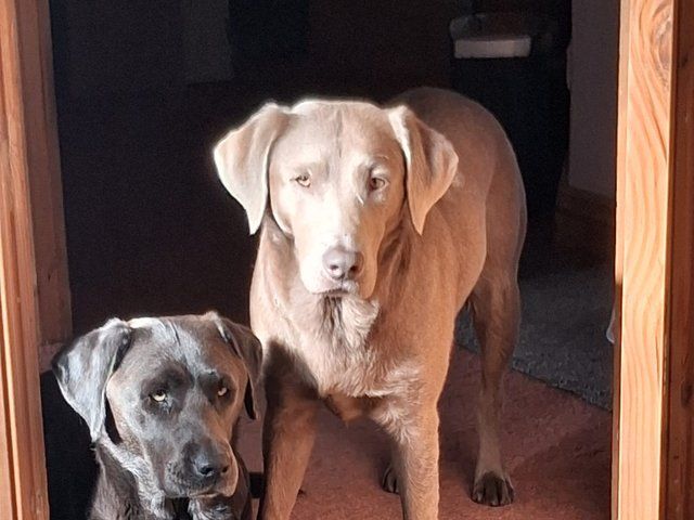 Luna and Marla